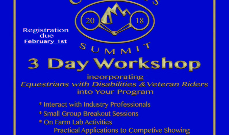 NSBA to host workshop for incorporating Equestrians With Disabilities, Veteran Riders