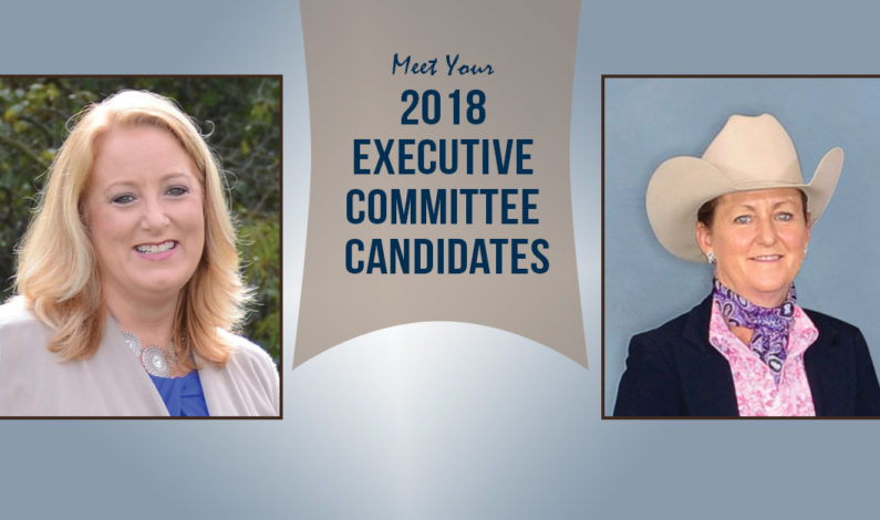 Meet the 2018 APHA Executive Committee nominees