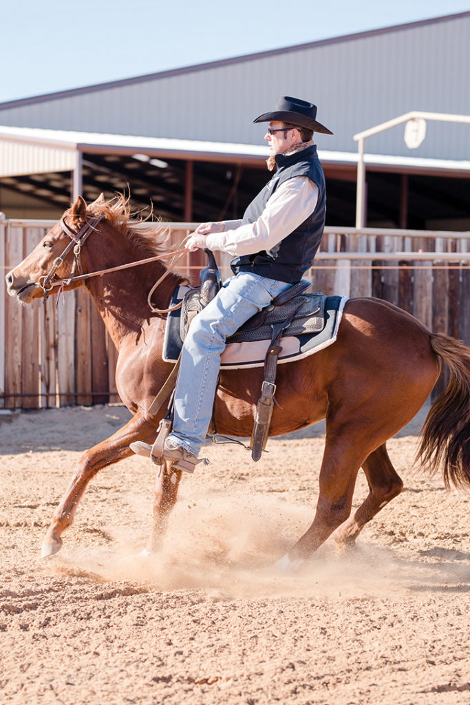 Colt Breakers: An important part in building a show horse’s foundation ...