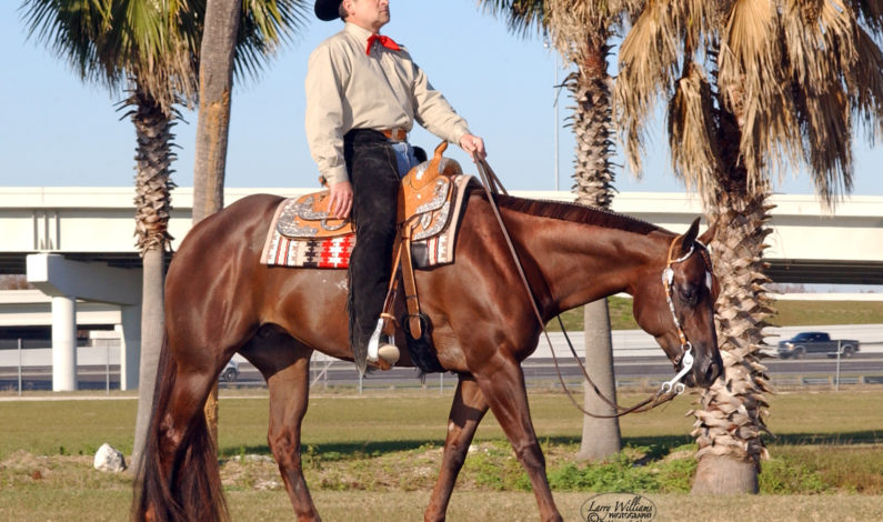 Carrs report passing of AQHA mare Rhapsody In The Rain