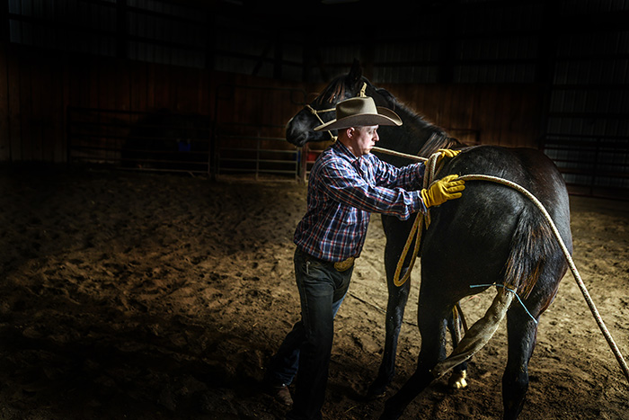 Colt Breakers: An important part in building a show horse’s foundation