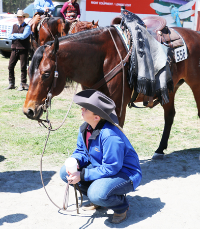 Rule Changes Approved by the AQHA Ranching Committee