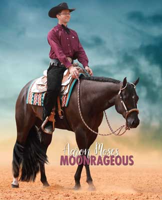 Starland Ranch's Moonrageous