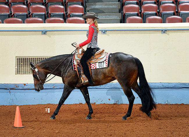 AQHA to host inaugural Versatility Pleasure at World Show