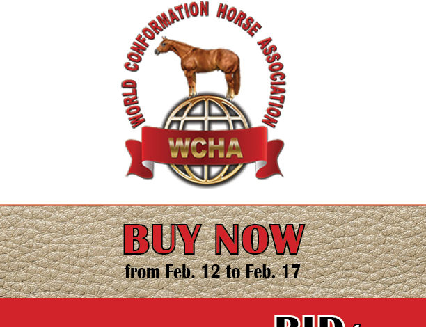 Halter Horse trainers Auction for WCHA