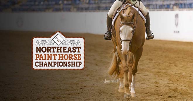 Paint Horse Championship Program will be back in 2019