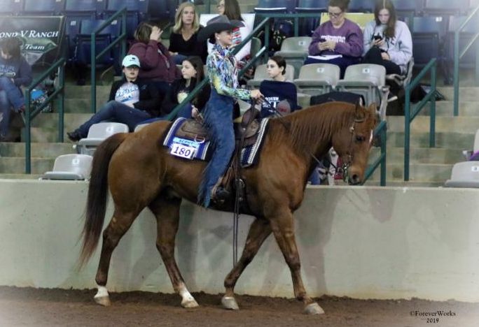 Interscholastic Equestrian Association hosts Western Semi-Finals Competitions