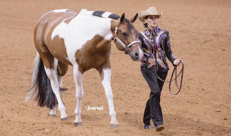 Free class videos for APHA World Show competitors