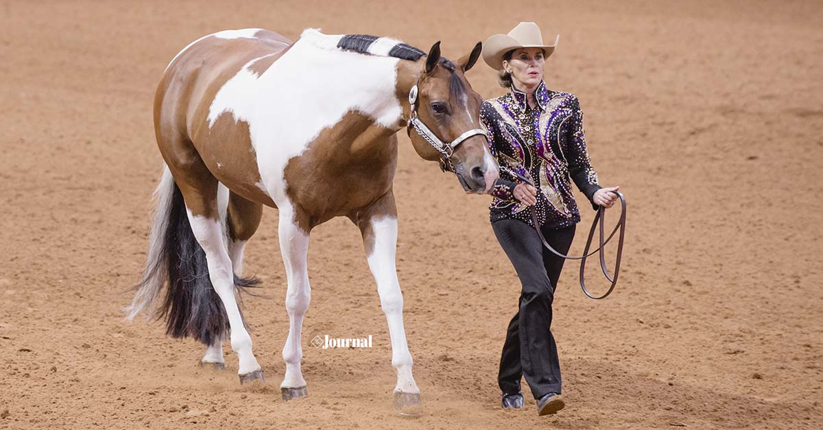 Free class videos for APHA World Show competitors InStrideEdition