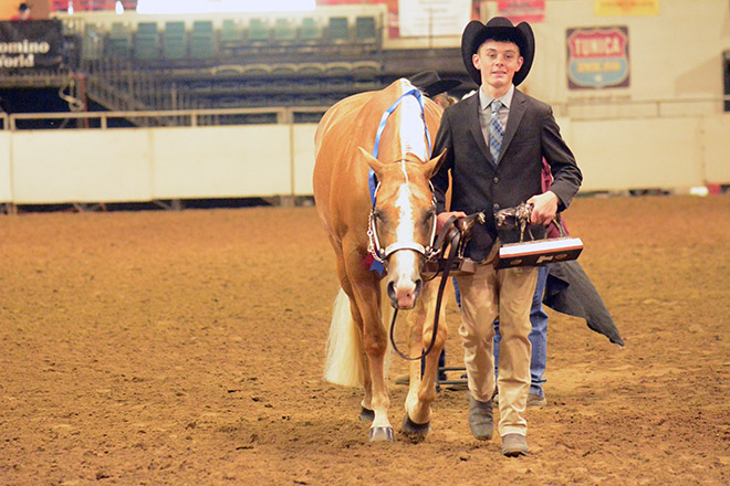 Palomino World Show opens today with Youth competition in Tunica