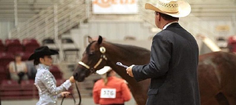 Five new AQHA judges appointed