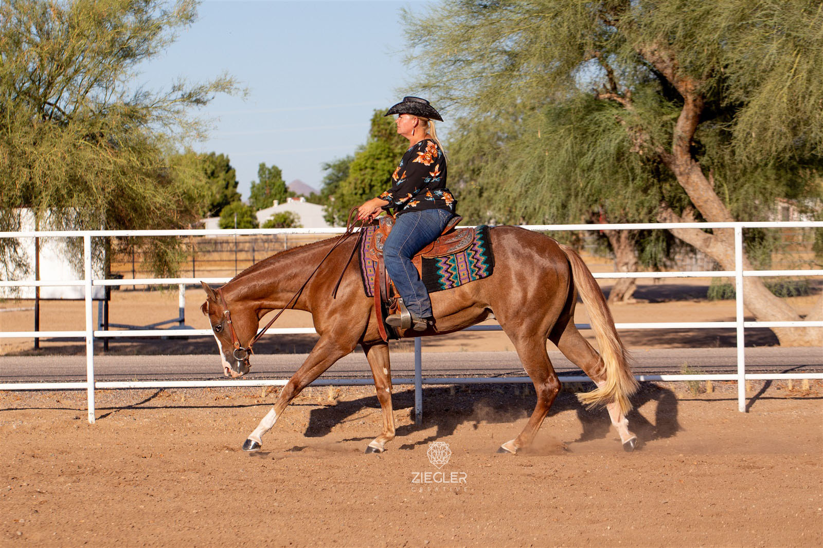 Arizona trainer Erica Owen is living out her dreams | InStrideEdition