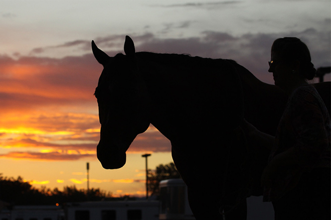 horse and owner at sunset