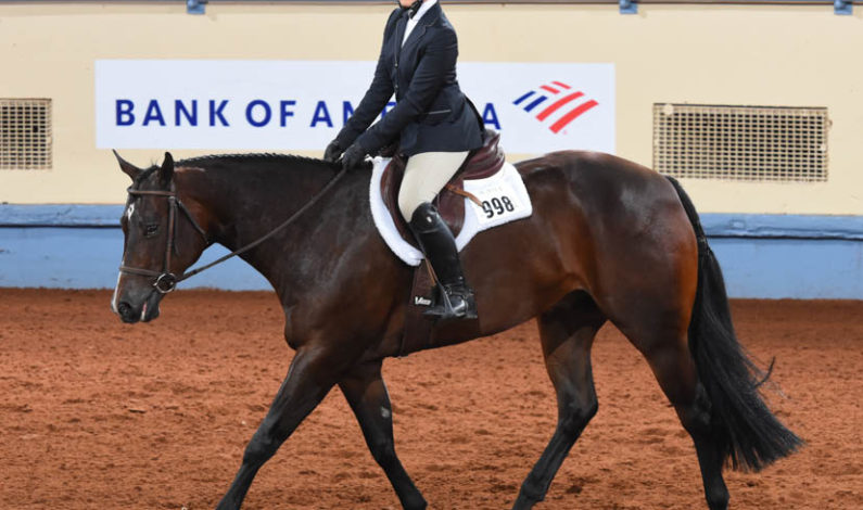AQHA recognizes 2019 High-Point winners
