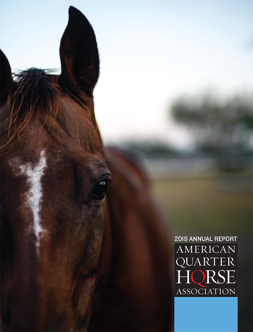 2019 AQHA Annual Report cover