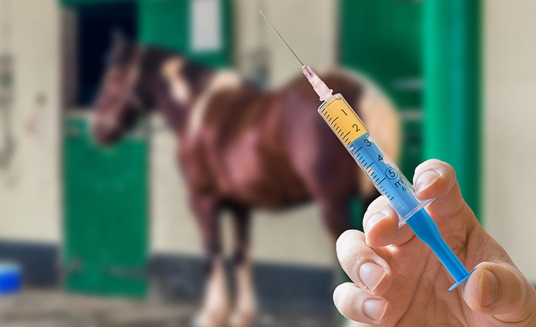 The five core vaccines that are recommended for your horse