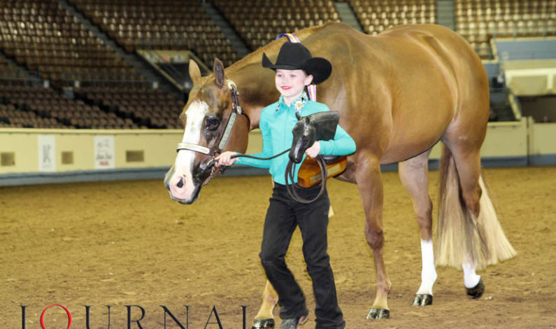 Level 1 Classes Added to Respective AQHA World shows