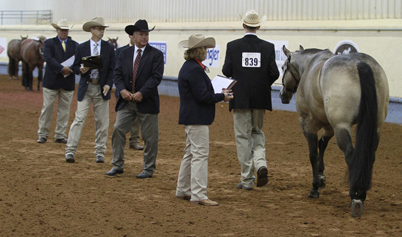 AQHA Youth World Show judges announced