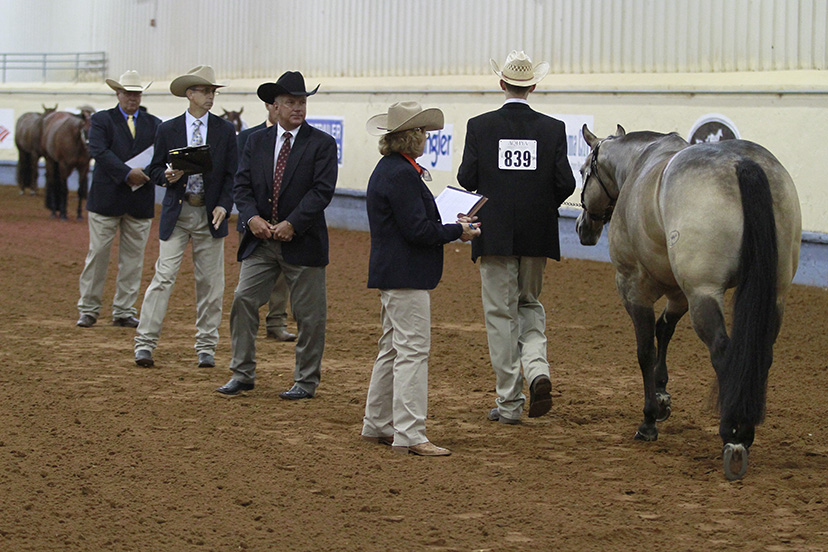 AQHA Youth World Show judges announced InStrideEdition