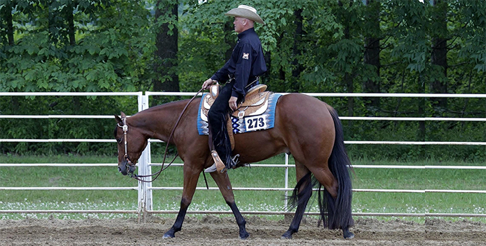 Ray Carmean aims to train horses so others can ride