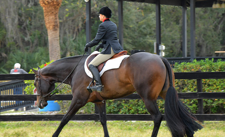 Its Game On for Jamie English and Tali Terlizzi’s new Hunter Under Saddle contender