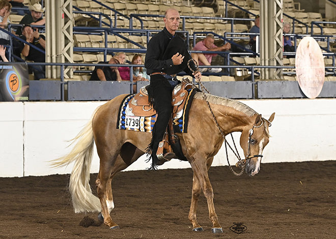 Winners crowned in Western Pleasure, Ranch and Halter classes at Palomino World Show