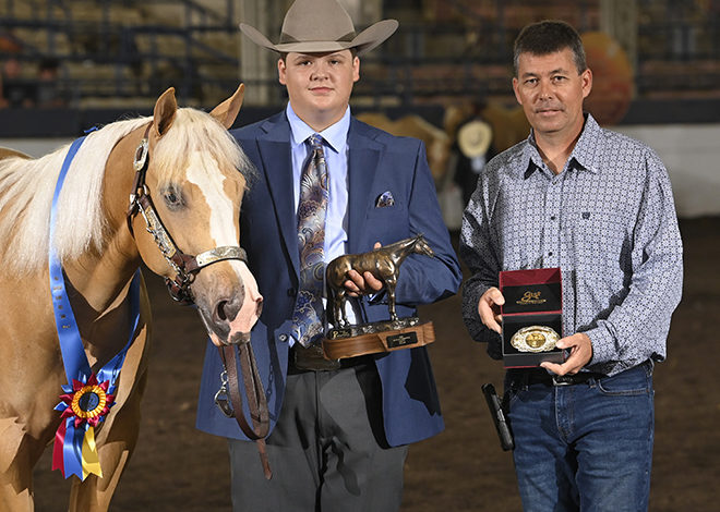 Halter competition opens Day 3 of Palomino Youth World Show; Color class draws big numbers