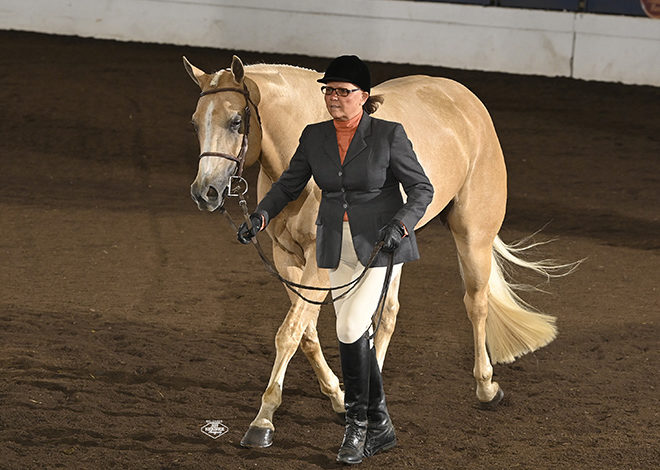 2022 Palomino World Show draws to end with Golden Horse, Palomino Bred High Point announcements