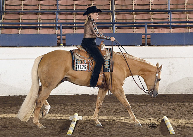 World Championship titles in all divisions of Trail awarded at Palomino World Show