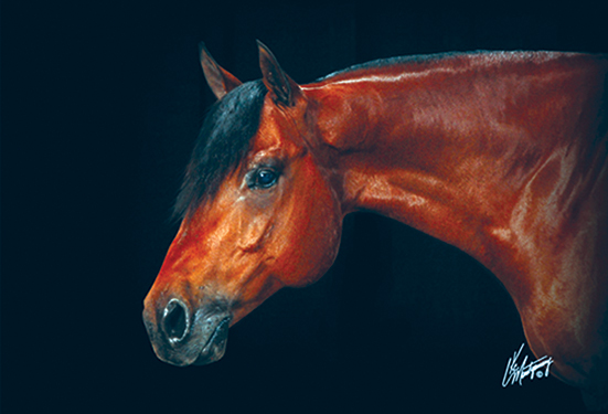 AQHA Hall of Fame adds seven