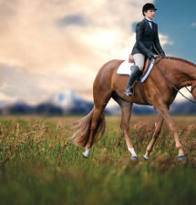 Redd Corvette: 3-Year-Old Hunter Under Saddle contender getting his show career started with Jessica Noiseux