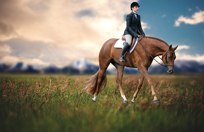 Redd Corvette: 3-Year-Old Hunter Under Saddle contender getting his show career started with Jessica Noiseux