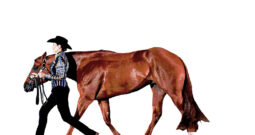 Trotting properly in Showmanship