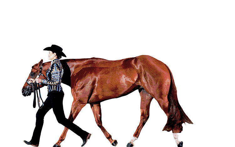 Trotting properly in Showmanship