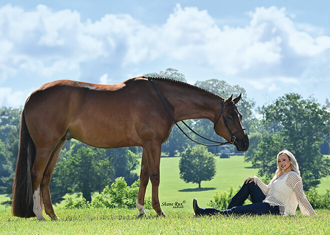 Amanda Smith: Riding Shop Class in Hunter Under Saddle puts a smile on this Amateur competitor’s face