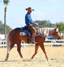 Back To Square One: Successful trainers offer tips on how to overcome training roadblocks