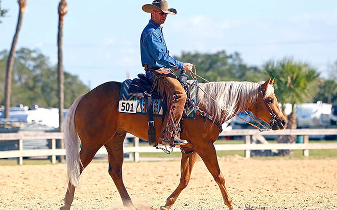 Back To Square One: Successful trainers offer tips on how to overcome training roadblocks