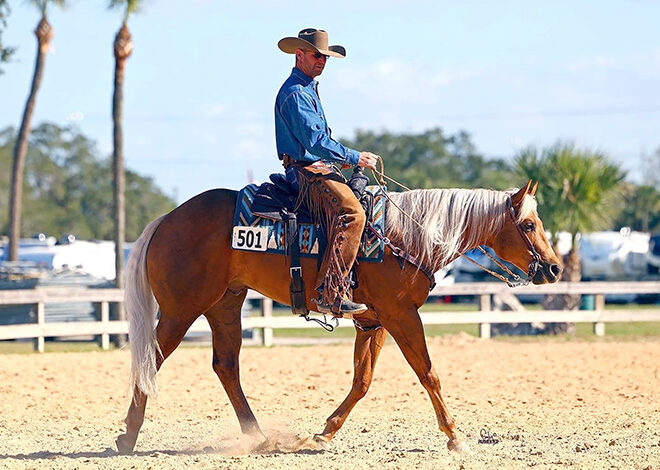 Back To Square One: Successful trainers offer tips on how to overcome training roadblocks