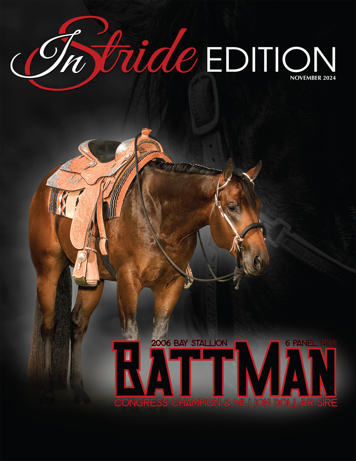 Battman Cover 11’24