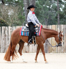 A total of 16 slated to vie for $37,200 purse in Virginia Maiden 3-Year-Old & Over Open Western Pleasure today