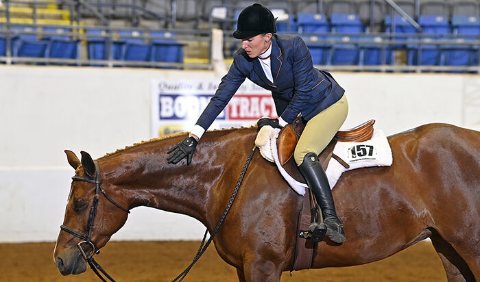 Fourteen to compete today for $36,300 purse in Virginia Maiden 3-Year-Old & Over Hunter Under Saddle