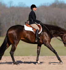 Smoooth Kriminal making her show debut at The Sudden Impulse Futurity in Maiden Hunter Under Saddle