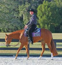 Casey Willis and Feeling Groovy: Now at home at Stoneridge Farms in Pennsylvania