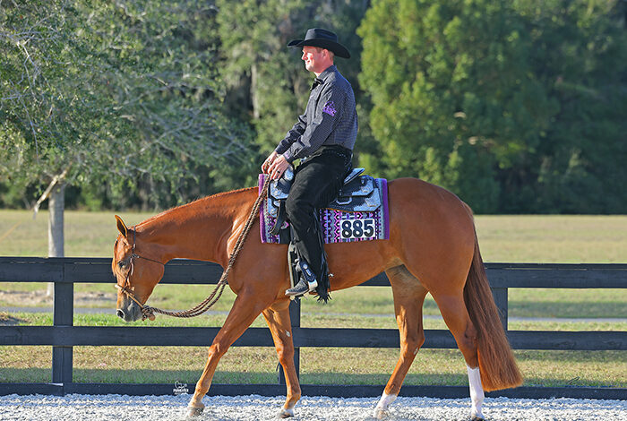 Casey Willis and Feeling Groovy: Now at home at Stoneridge Farms in Pennsylvania
