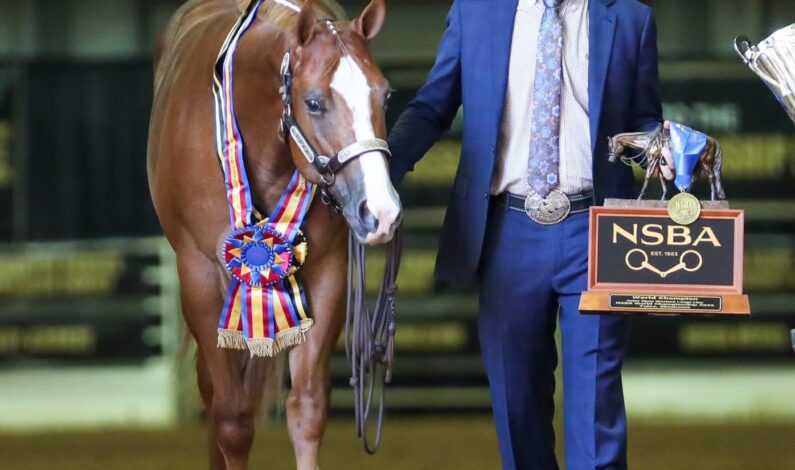 FLASH Auction with World Champion and More