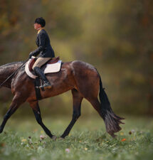 Sheza Outlaw and Jamie English making a big statement in the 3-Year-Old Open Hunter Under Saddle