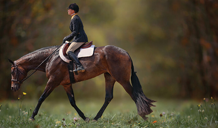 Sheza Outlaw and Jamie English making a big statement in the 3-Year-Old Open Hunter Under Saddle
