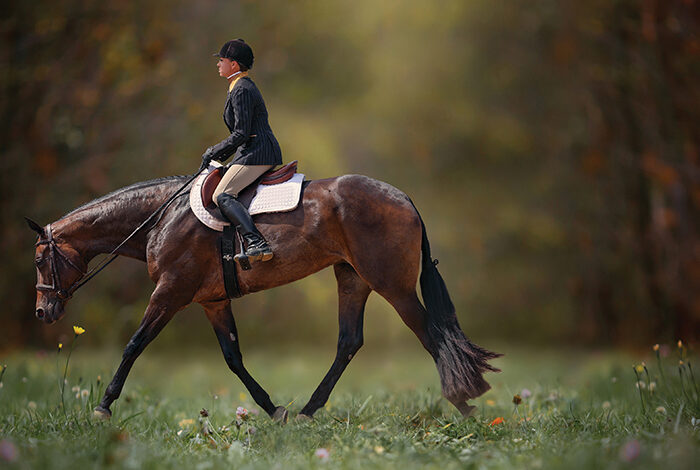 Sheza Outlaw and Jamie English making a big statement in the 3-Year-Old Open Hunter Under Saddle