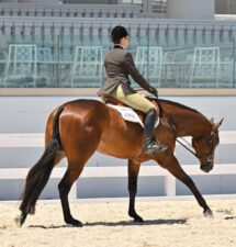 En The Crusin Lane wins 3-Year-Old Open Hunter Under Saddle and Boifriend Material claims victory in 3-Year-Old Western Pleasure at Sudden Impulse