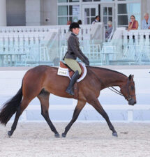 Amber Pickard pilots En The Kruzin Lane to win in Maiden 3-Year-Old & Over Open Hunter Under Saddle at Orange Blossom Classic